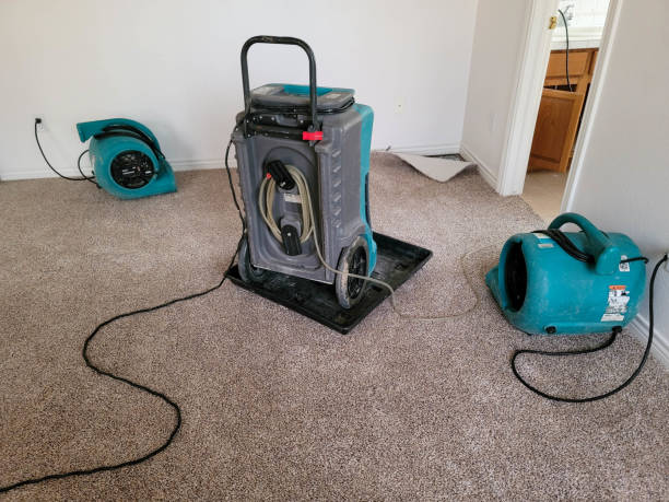 Best Carpet water damage restoration  in Buena Vista, GA