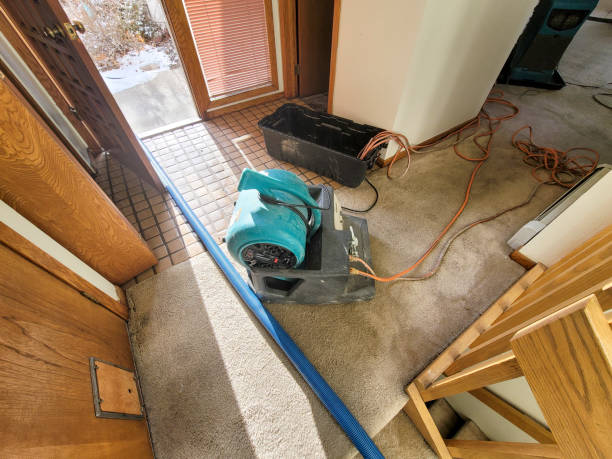 Best Basement water damage restoration  in Buena Vista, GA