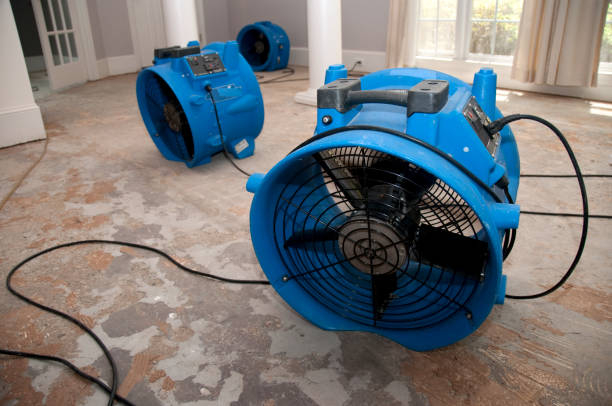 Best Water damage cleanup near me  in Buena Vista, GA
