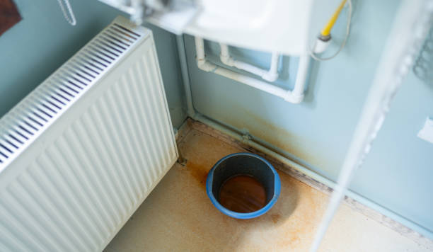 Best Flooded house restoration  in Buena Vista, GA