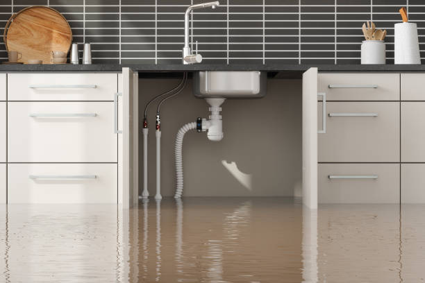 Best Fire Damage Restoration  in Buena Vista, GA