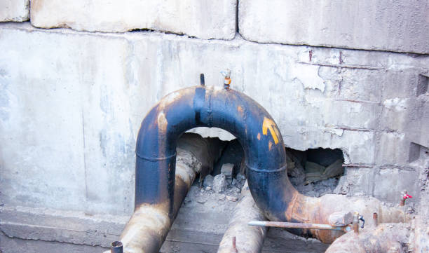 Best Mold removal after water damage  in Buena Vista, GA