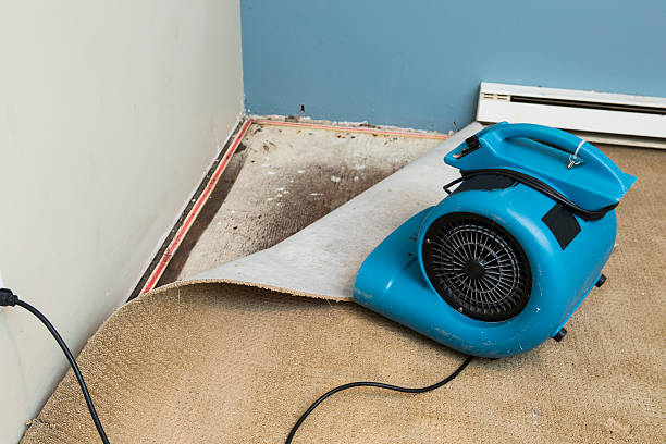 Best 24/7 water damage repair  in Buena Vista, GA